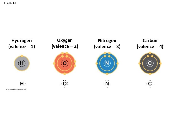 Figure 4. 4 Hydrogen (valence 1) Oxygen (valence 2) Nitrogen (valence 3) Carbon (valence