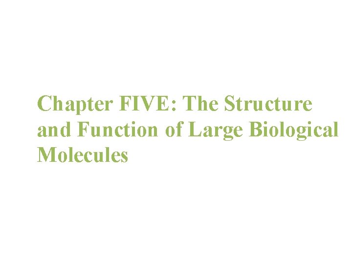 Chapter 5 Chapter FIVE: The Structure and Function of Large Biological Molecules 