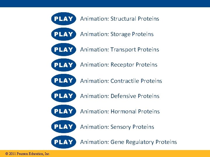 Animation: Structural Proteins Animation: Storage Proteins Animation: Transport Proteins Animation: Receptor Proteins Animation: Contractile