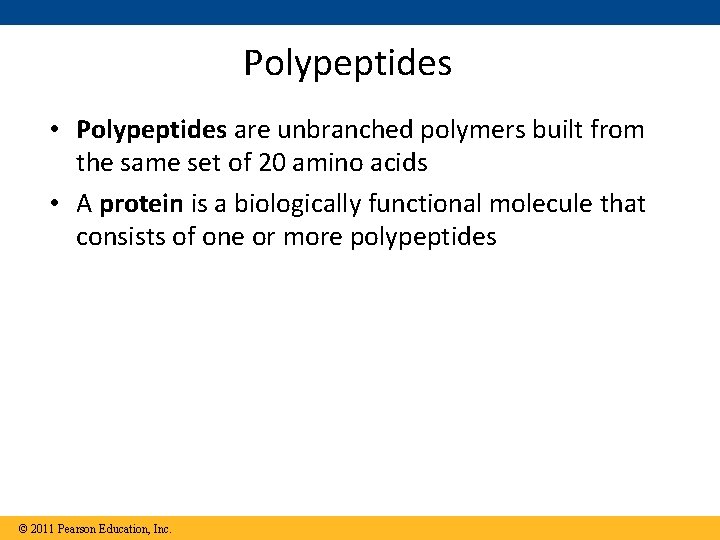 Polypeptides • Polypeptides are unbranched polymers built from the same set of 20 amino