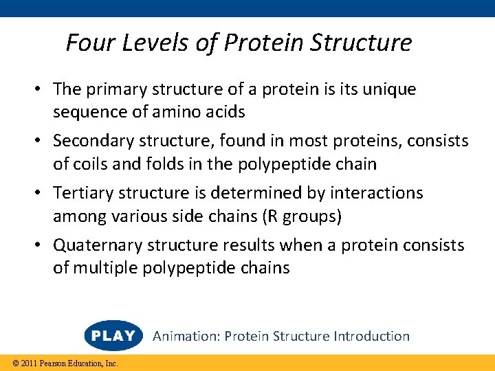 Four Levels of Protein Structure • The primary structure of a protein is its