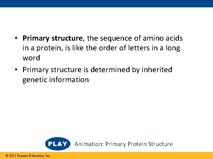  • Primary structure, the sequence of amino acids in a protein, is like
