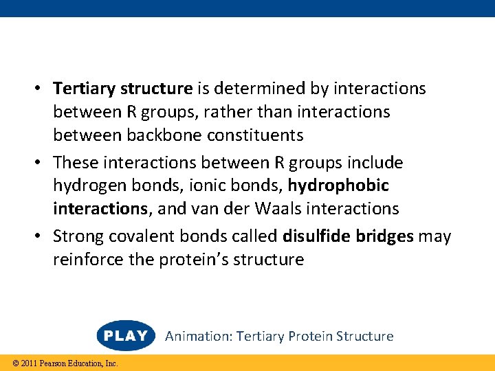  • Tertiary structure is determined by interactions between R groups, rather than interactions