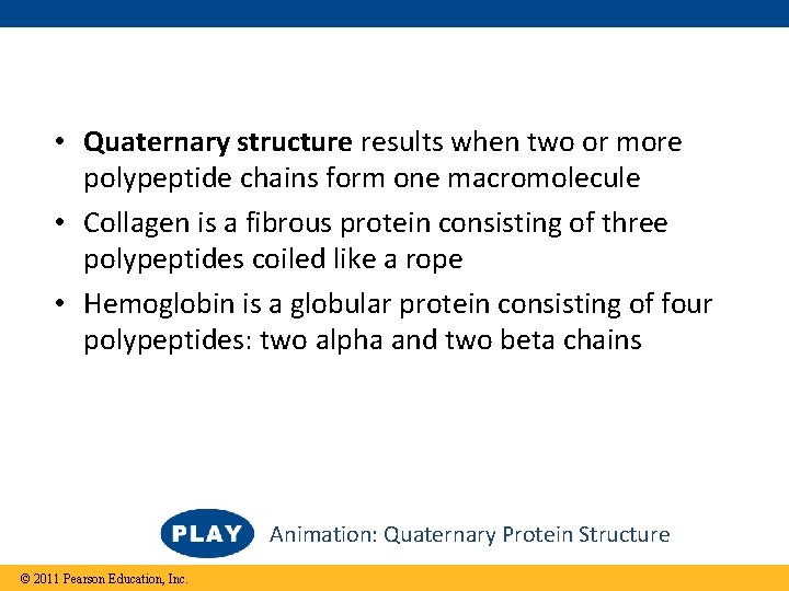  • Quaternary structure results when two or more polypeptide chains form one macromolecule