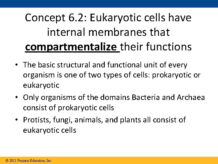 Concept 6. 2: Eukaryotic cells have internal membranes that compartmentalize their functions • The