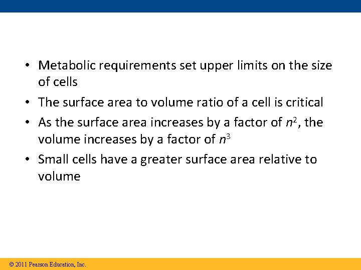  • Metabolic requirements set upper limits on the size of cells • The