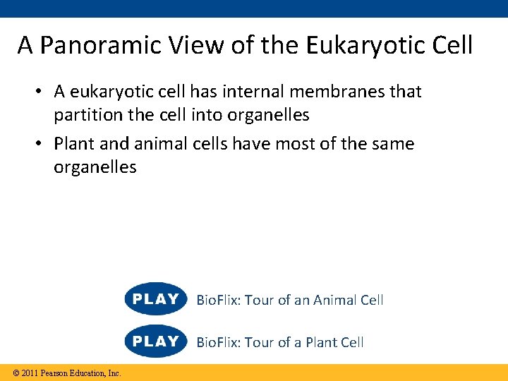 A Panoramic View of the Eukaryotic Cell • A eukaryotic cell has internal membranes