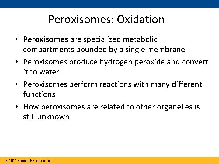 Peroxisomes: Oxidation • Peroxisomes are specialized metabolic compartments bounded by a single membrane •