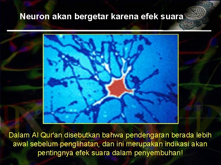 Neuron akan bergetar karena efek suara Dalam Al Qur'an disebutkan bahwa pendengaran berada lebih