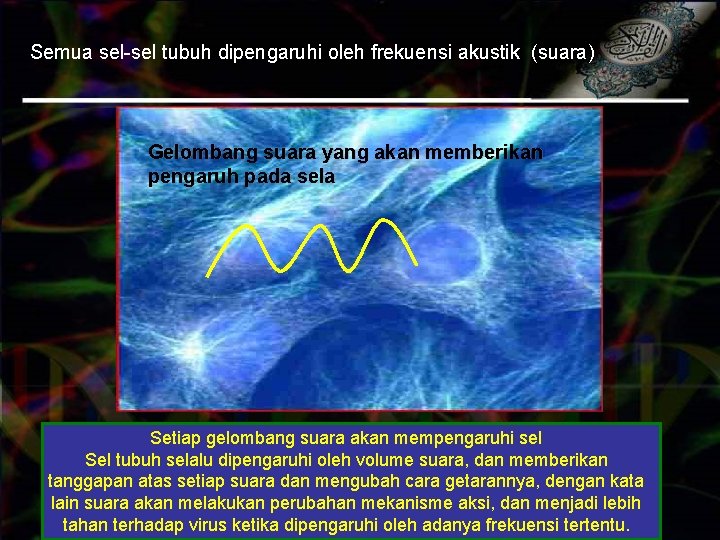 Semua sel-sel tubuh dipengaruhi oleh frekuensi akustik (suara) Gelombang suara yang akan memberikan pengaruh