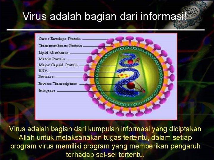 Virus adalah bagian dari informasi! Virus adalah bagian dari kumpulan informasi yang diciptakan Allah