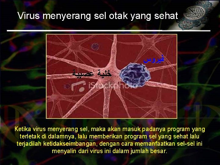 Virus menyerang sel otak yang sehat ﻓﻴﺮﻭﺱ ﻋﺼﺒﻴﺔ ﺧﻠﻴﺔ Ketika virus menyerang sel, maka