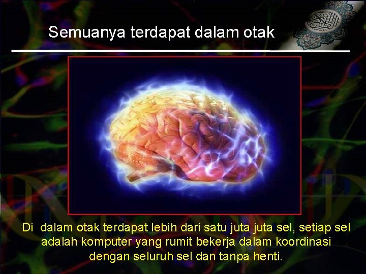 Semuanya terdapat dalam otak Di dalam otak terdapat lebih dari satu juta sel, setiap