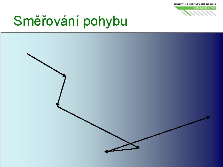 Směřování pohybu 