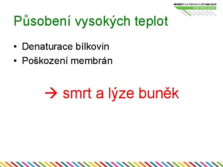 Působení vysokých teplot • Denaturace bílkovin • Poškození membrán smrt a lýze buněk 