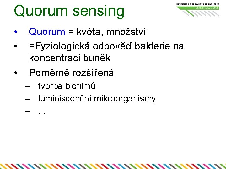 Quorum sensing • • • Quorum = kvóta, množství =Fyziologická odpověď bakterie na koncentraci