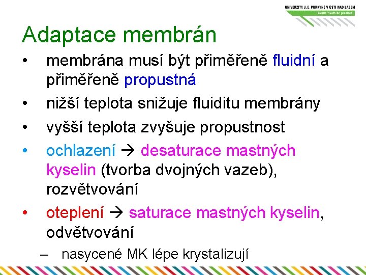 Adaptace membrán • • • membrána musí být přiměřeně fluidní a přiměřeně propustná nižší