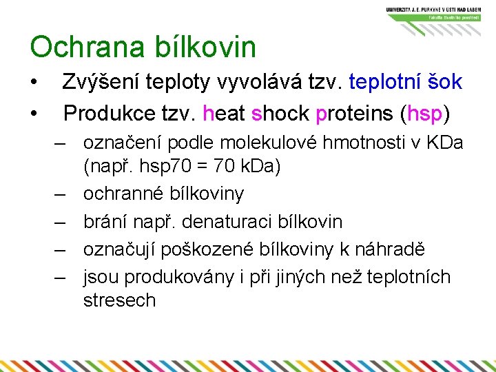 Ochrana bílkovin • • Zvýšení teploty vyvolává tzv. teplotní šok Produkce tzv. heat shock