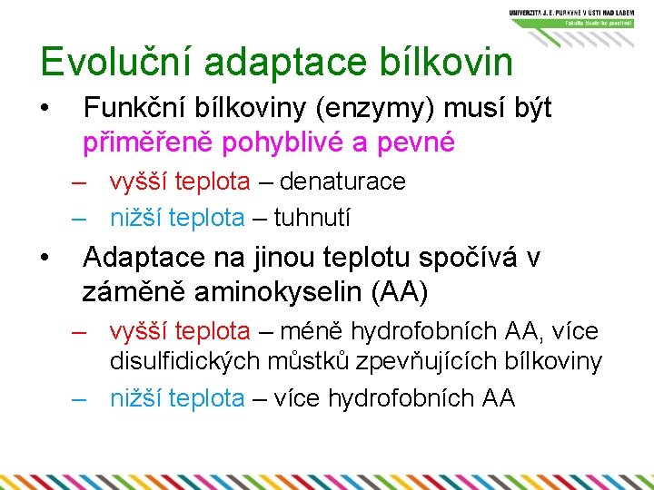 Evoluční adaptace bílkovin • Funkční bílkoviny (enzymy) musí být přiměřeně pohyblivé a pevné –