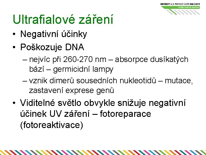 Ultrafialové záření • Negativní účinky • Poškozuje DNA – nejvíc při 260 -270 nm