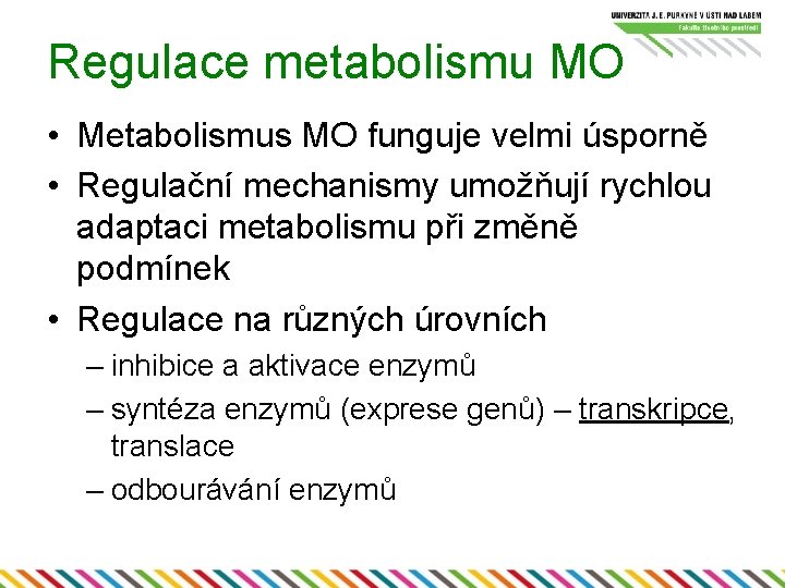 Regulace metabolismu MO • Metabolismus MO funguje velmi úsporně • Regulační mechanismy umožňují rychlou