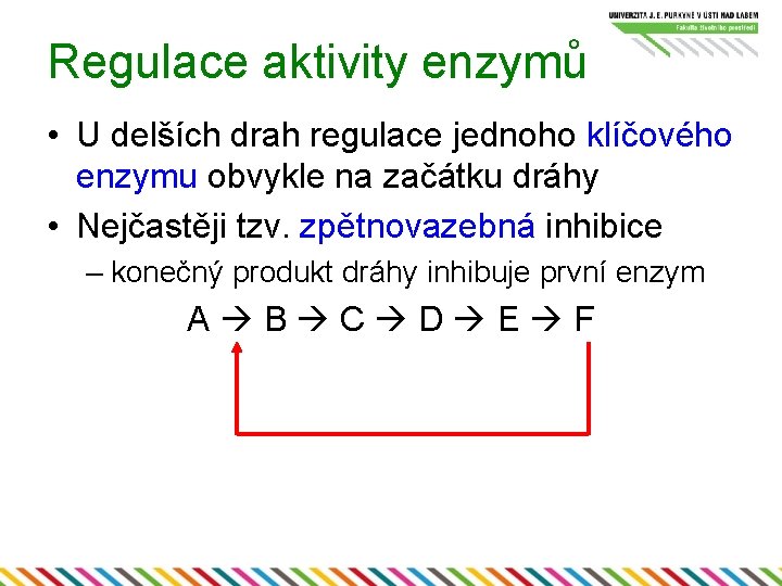 Regulace aktivity enzymů • U delších drah regulace jednoho klíčového enzymu obvykle na začátku