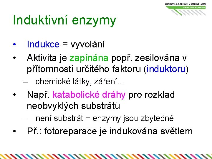 Induktivní enzymy • • Indukce = vyvolání Aktivita je zapínána popř. zesilována v přítomnosti