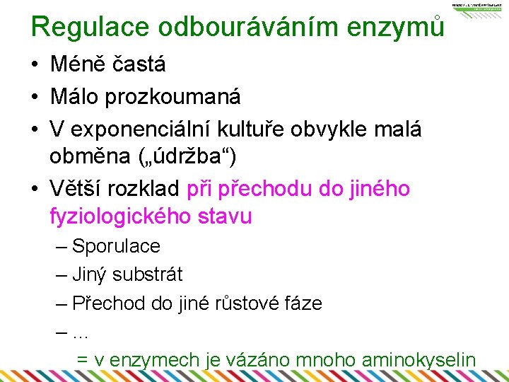 Regulace odbouráváním enzymů • Méně častá • Málo prozkoumaná • V exponenciální kultuře obvykle