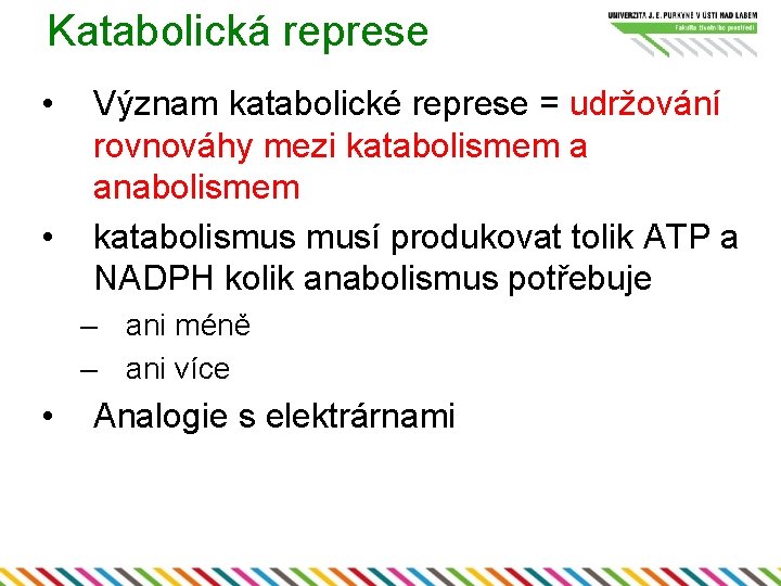 Katabolická represe • • Význam katabolické represe = udržování rovnováhy mezi katabolismem a anabolismem