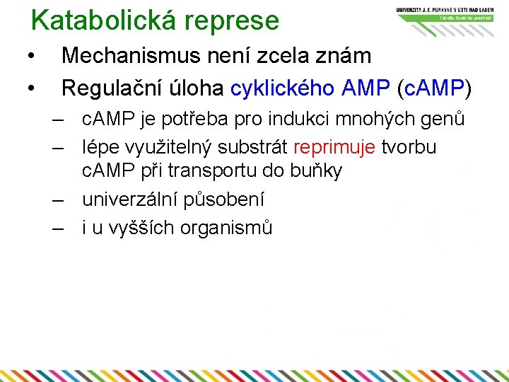 Katabolická represe • • Mechanismus není zcela znám Regulační úloha cyklického AMP (c. AMP)