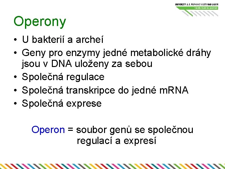 Operony • U bakterií a archeí • Geny pro enzymy jedné metabolické dráhy jsou
