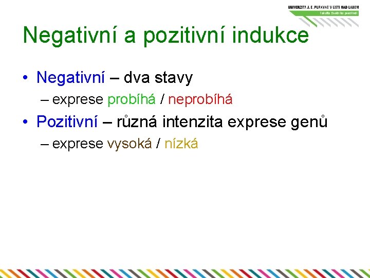 Negativní a pozitivní indukce • Negativní – dva stavy – exprese probíhá / neprobíhá