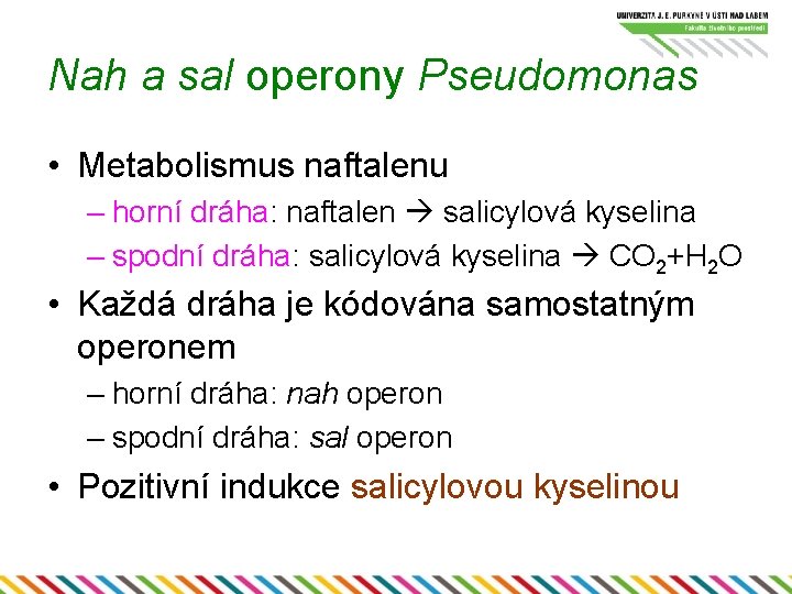 Nah a sal operony Pseudomonas • Metabolismus naftalenu – horní dráha: naftalen salicylová kyselina