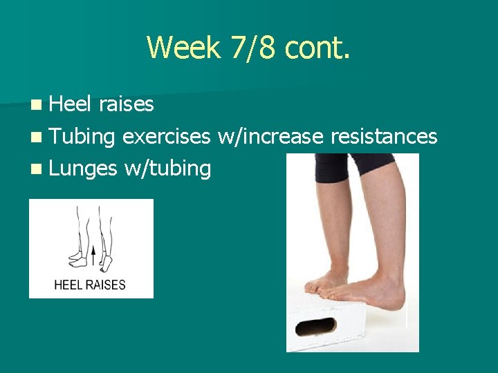 Week 7/8 cont. n Heel raises n Tubing exercises w/increase resistances n Lunges w/tubing