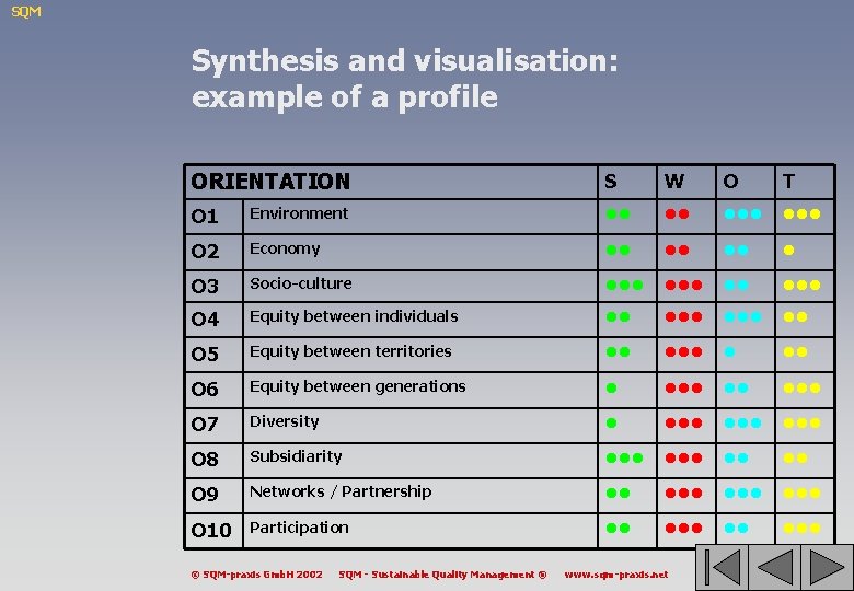 SQM Synthesis and visualisation: example of a profile ORIENTATION S W O T O