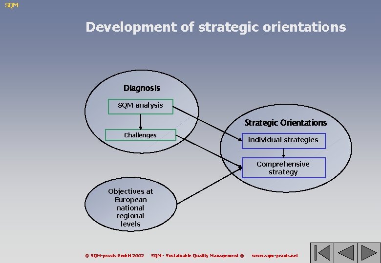 SQM Development of strategic orientations Diagnosis SQM analysis Strategic Orientations Challenges individual strategies Comprehensive