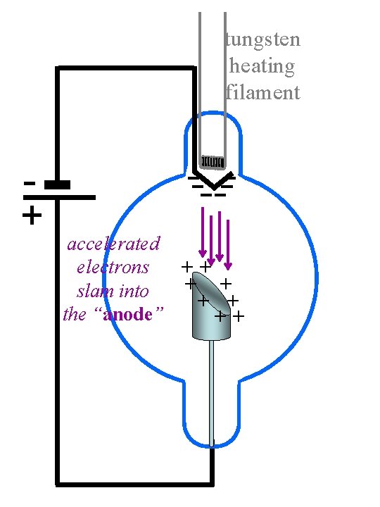 tungsten heating filament - + -- --accelerated electrons ++ + + slam into +