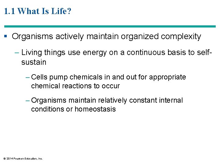 1. 1 What Is Life? § Organisms actively maintain organized complexity – Living things