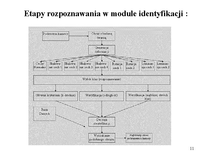 Etapy rozpoznawania w module identyfikacji : 11 