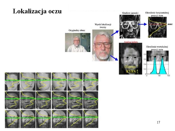 Lokalizacja oczu 17 