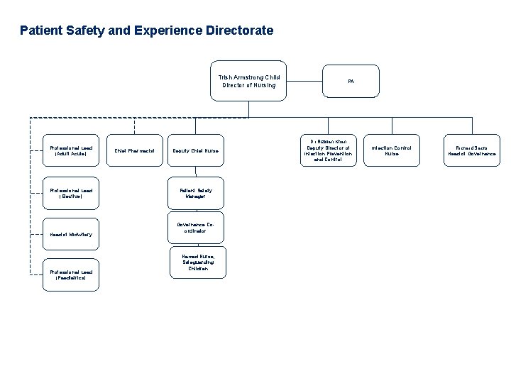 Patient Safety and Experience Directorate Trish Armstrong Child Director of Nursing Professional Lead (Adult