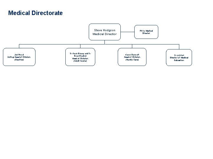 Medical Directorate Steve Hodgson Medical Director Jez Wood Acting Head of Division (Elective) Dr