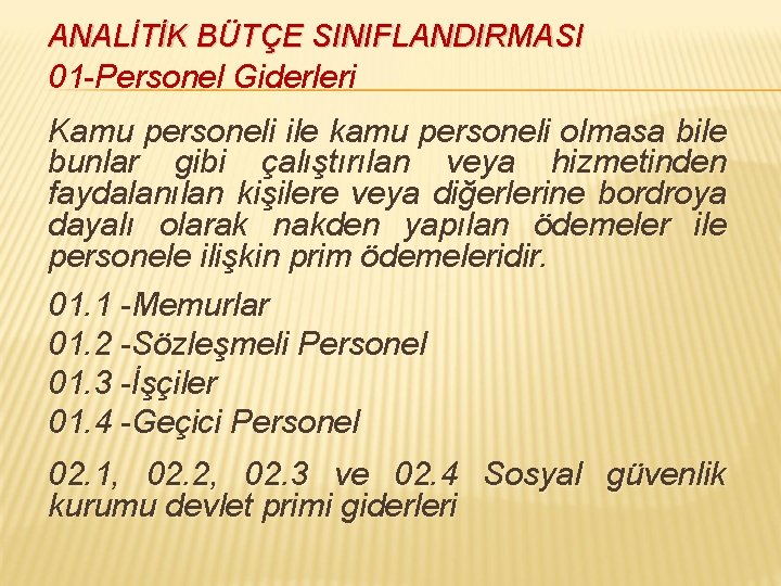 ANALİTİK BÜTÇE SINIFLANDIRMASI 01 -Personel Giderleri Kamu personeli ile kamu personeli olmasa bile bunlar