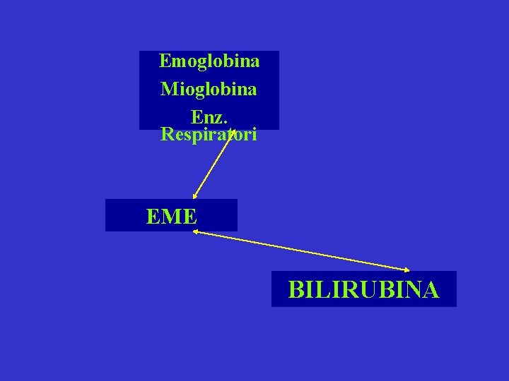 Emoglobina Mioglobina Enz. Respiratori EME BILIRUBINA 