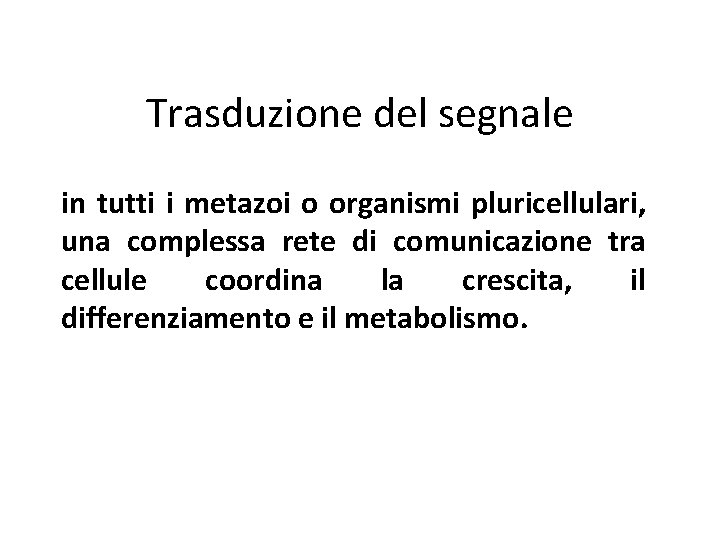 Trasduzione del segnale in tutti i metazoi o organismi pluricellulari, una complessa rete di