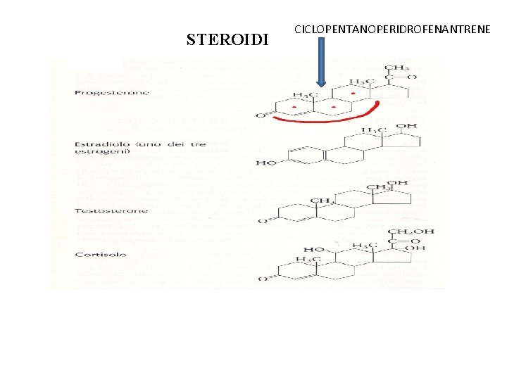 STEROIDI CICLOPENTANOPERIDROFENANTRENE 