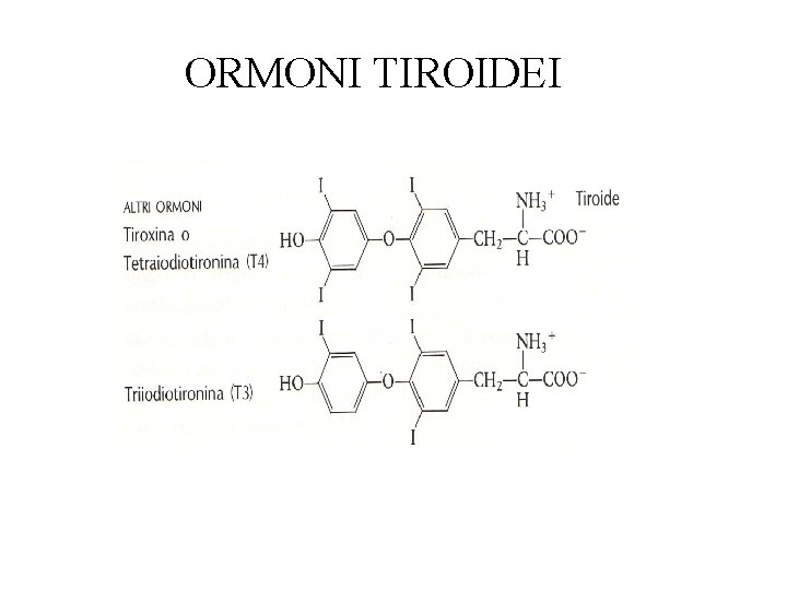 ORMONI TIROIDEI 