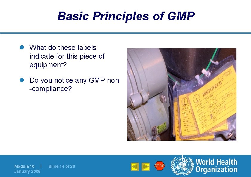 Basic Principles of GMP l What do these labels indicate for this piece of