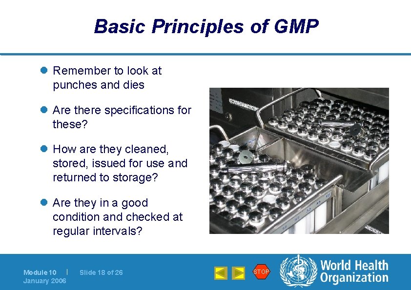 Basic Principles of GMP l Remember to look at punches and dies l Are