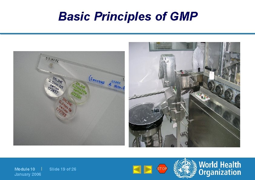 Basic Principles of GMP Module 10 | January 2006 Slide 19 of 26 STOP